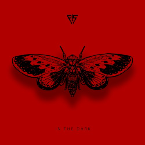In the Dark (Cicada)