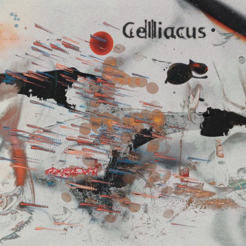 Celliacus