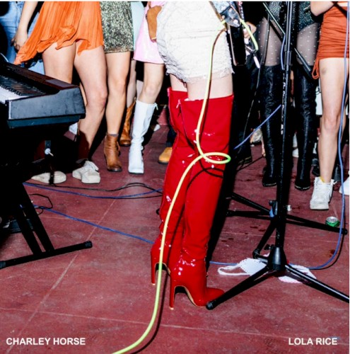 Charley Horse