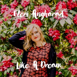 Like a Dream