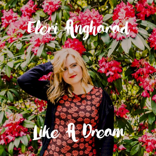 Like a Dream