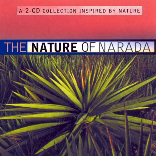 The Nature of Narada