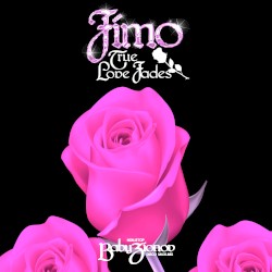 True Love Fades (Non-Stop Baby Zionov Disco Maxi-Mix)