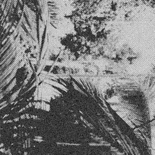 m e l o d i a