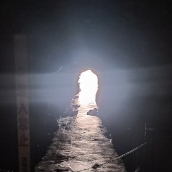 ambient kyoto 0010