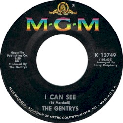 I Can See