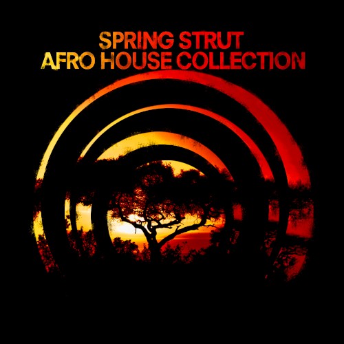 Afro House Collection