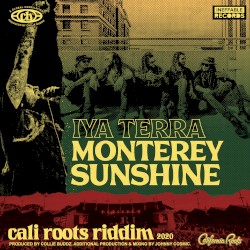 Monterey Sunshine