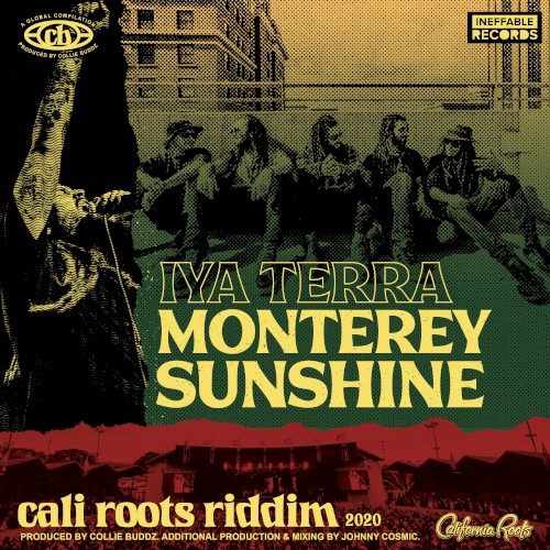Monterey Sunshine