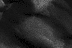Free Downloads (6K)