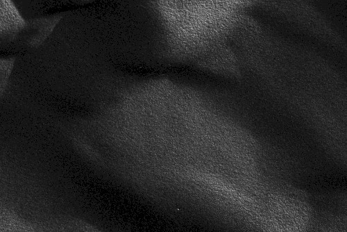 Free Downloads (6K)