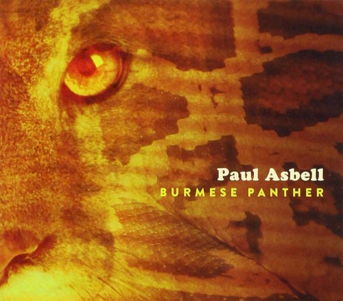 Burmese Panther