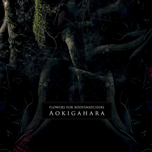 Aokigahara