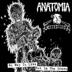 No Way To Live / Rot In The Grave