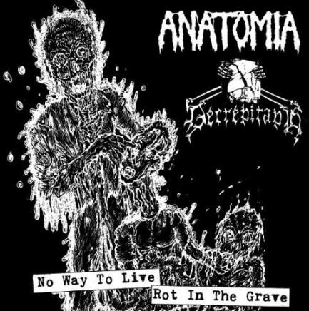 No Way To Live / Rot In The Grave