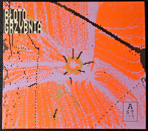 Grzybnia