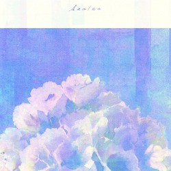 Azalea