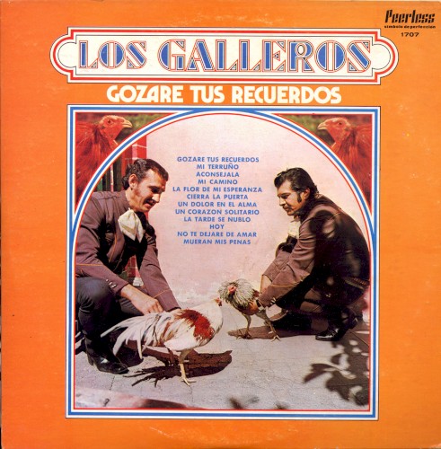 Gozaré tus recuerdos