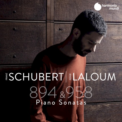 Piano Sonatas 894 & 958