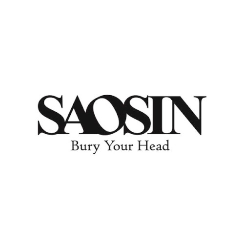 Bury Your Head