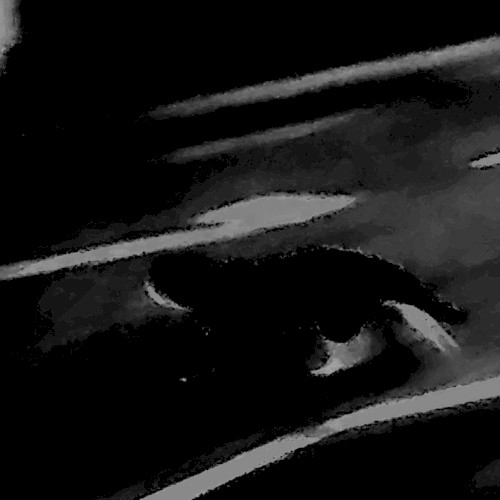 Blind