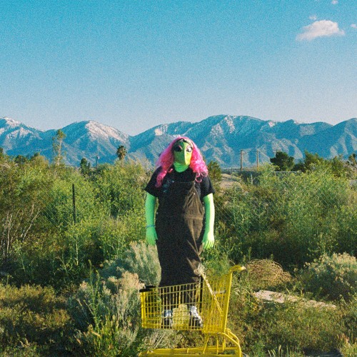 Alien Vacation