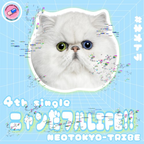 ニャンだフルLIFE!! (ver.2.4.22)