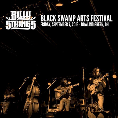 2018-09-07: Black Swamp Arts Festival, Bowling Green, OH, USA