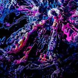 Reanimate (gyrofield remix)