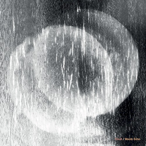 Womb Echo