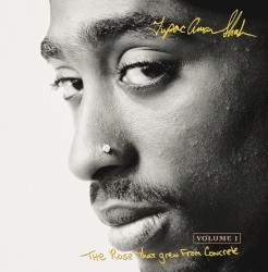 The Rose That Grew From Concrete, Volume 1