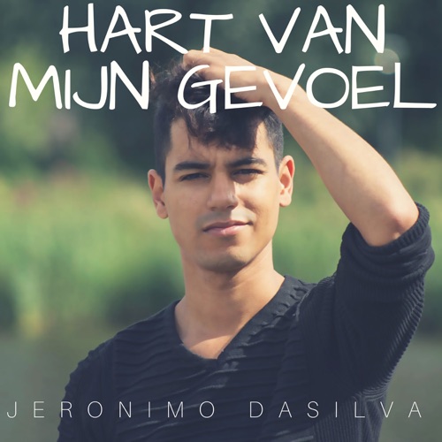 Hart van mijn gevoel