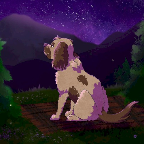 Stargazing [Canvas remix]