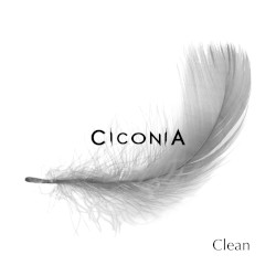 Clean EP