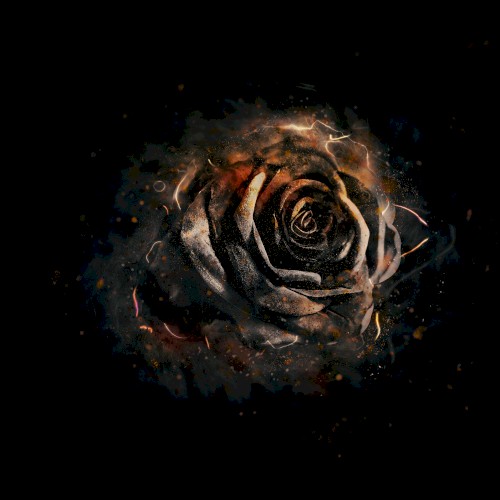 Burning Blossom