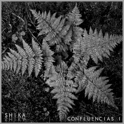 Confluencias I: Selva