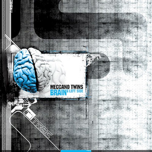 Brain: Left Side