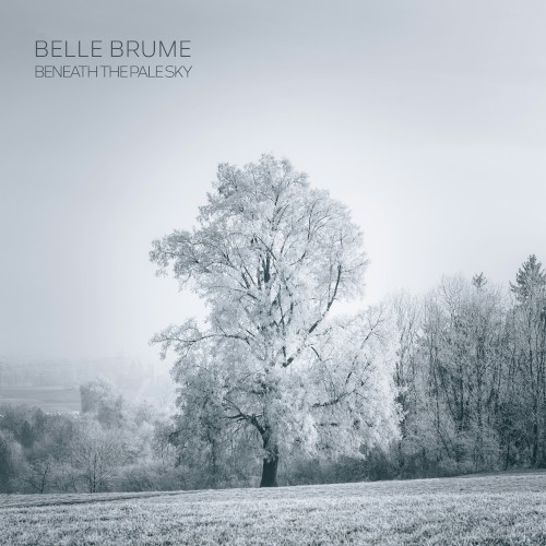 Beneath the Pale Sky