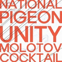Molotov Cocktail