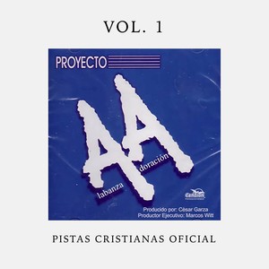 Proyecto AA (Pistas Oficiales)