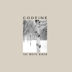 The White Birch