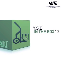 Y.S.E. in the Box, Vol. 13