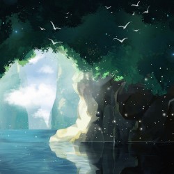 Where Birds Fly