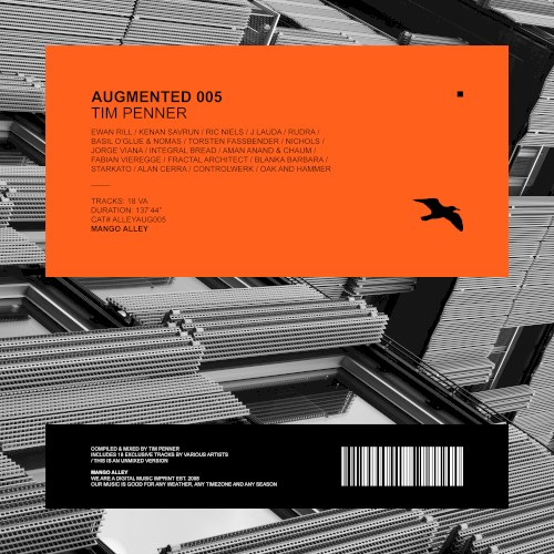 Augmented 005 / Tim Penner