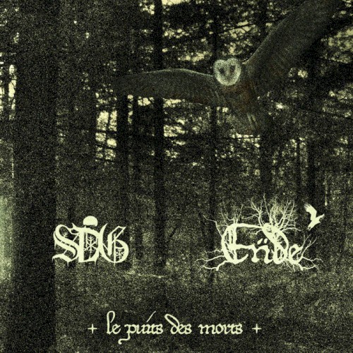 Le Puit Des Morts