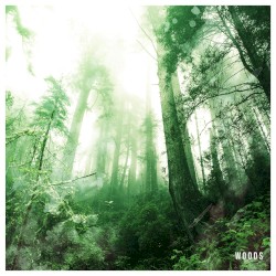 Woods