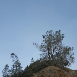 Telecommunications