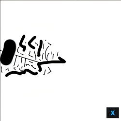 15 Tracks, 45:07