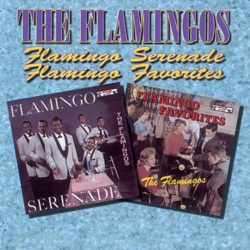 Flamingo Serenade / Flamingo Favorites