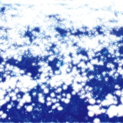Microcosmos